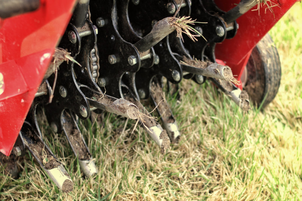 Image of Fall Aeration