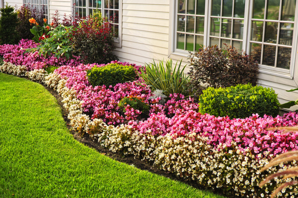 Image of Front Yard