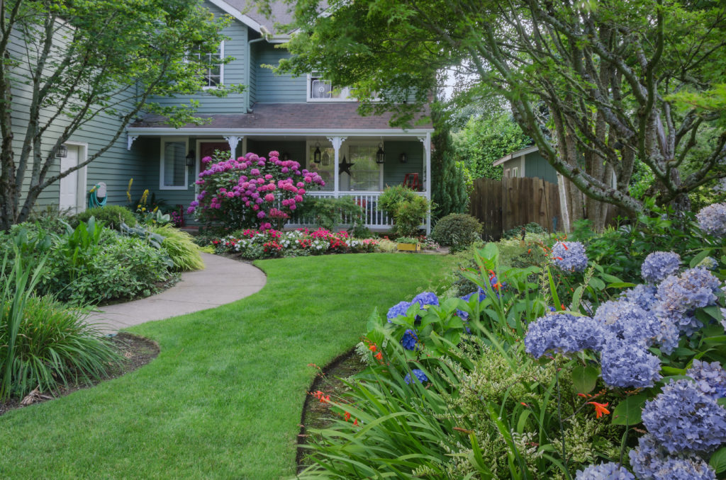 Image of Front Yard