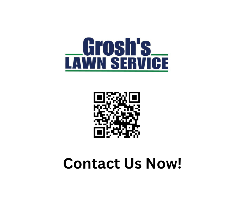 Invest in Your Lawn's Health and Beauty Today! 📞

Don't let lawn care become a chore that eats up your weekends. Grosh's Lawn Service and Lawn Care Hagerstown MD provides reliable, professional, and affordable solutions to keep your Hagerstown lawn looking its best year-round.