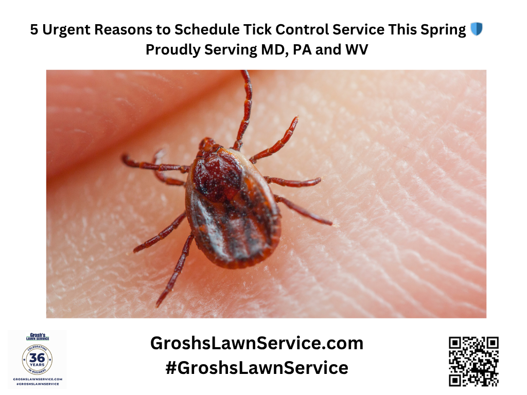 1. The CDC Warning: Why the Surge Matters 📢
The CDC reports that tick-related ER visits are currently double the historic average. In the Northeast, reports show as many as 163 tick-related complaints per 100,000 visits. This spike is attributed to a "triple-digit" surge in tick activity triggered by warmer weather that has brought these parasites out of the leaf litter much earlier than usual. For those seeking backyard tick prevention, the window for early intervention is closing fast.