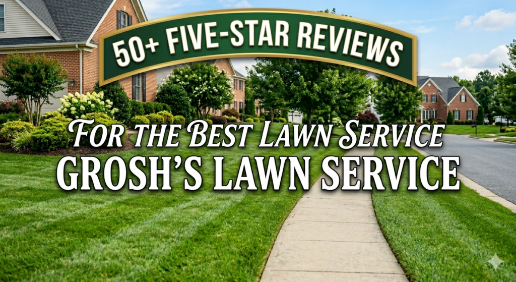 To see the transformations we’ve achieved for your neighbors over the last 36 years, visit our reviews page: https://www.groshslawnservice.com/best-lawn-service-reviews/