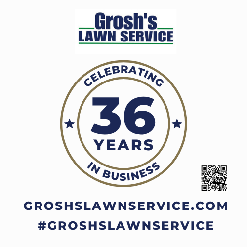 While Grosh's Lawn Service specializes in professional treatments and soil health rather than mowing, the way you cut your grass directly impacts how well our treatments perform. Proper mowing is the foundation of a successful professional weed control strategy. When you mow correctly, you are naturally supporting the Lawn Care Treatments Clear Spring MD homeowners rely on for a lush, thick carpet of turf.
