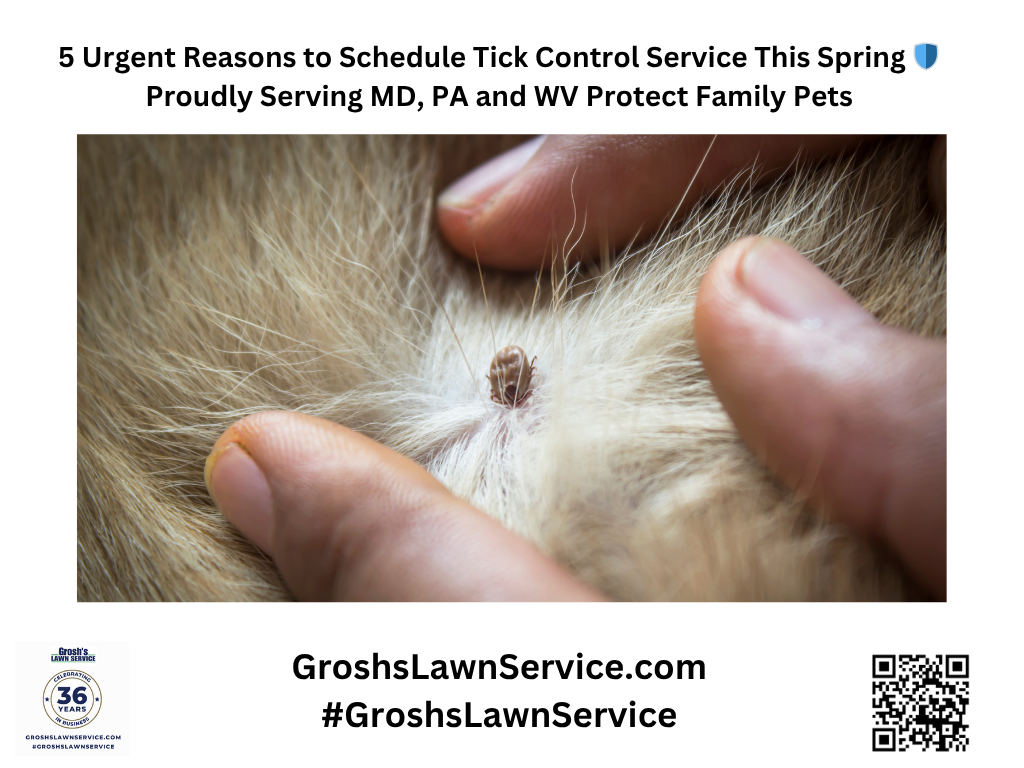 Understanding the Local Tick Threat: Why Tick Control Matters
The tri-state region of Maryland, West Virginia, and Pennsylvania is home to three primary tick species: the black-legged (deer) tick, the American dog tick, and the lone star tick. Each species poses unique risks, from Lyme disease to Rocky Mountain spotted fever, making proactive tick control an essential part of responsible lawn care. Ticks thrive in shaded, damp, or cluttered areas—think tall grass, brushy edges, and leaf litter. Without a dedicated tick control strategy, even the most well-tended yard can become a hotspot for ticks, putting your family and pets at risk every time they step outside.