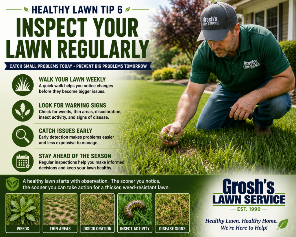 Healthy Lawn Tips from Grosh's Lawn Service showing a homeowner inspecting a lawn for weeds, thinning grass, discoloration, insect activity, and disease signs to support early detection and natural Lawn Weed Control.