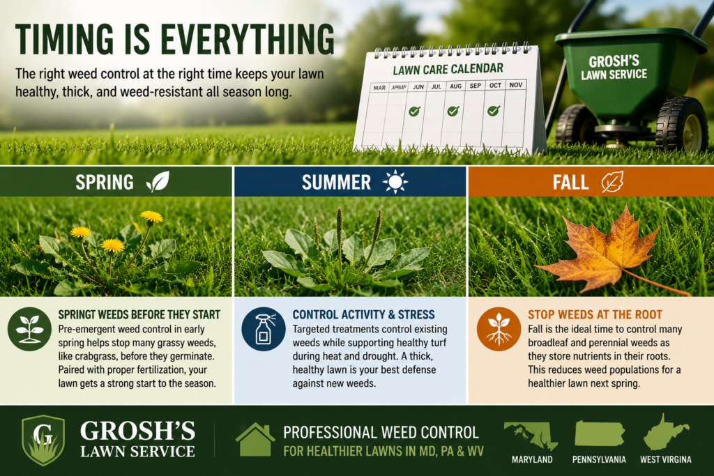 Weed Control by Grosh's Lawn Service illustrating how healthy turf naturally reduces weed growth by improving lawn density and soil health.
