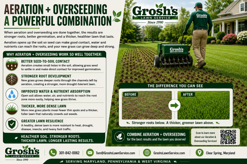 Why Is My Lawn Thin? Lawn insects and diseases can weaken grass and reduce lawn density. Professional lawn aeration and overseeding help restore healthier, thicker lawns throughout Maryland, Pennsylvania, and West Virginia.