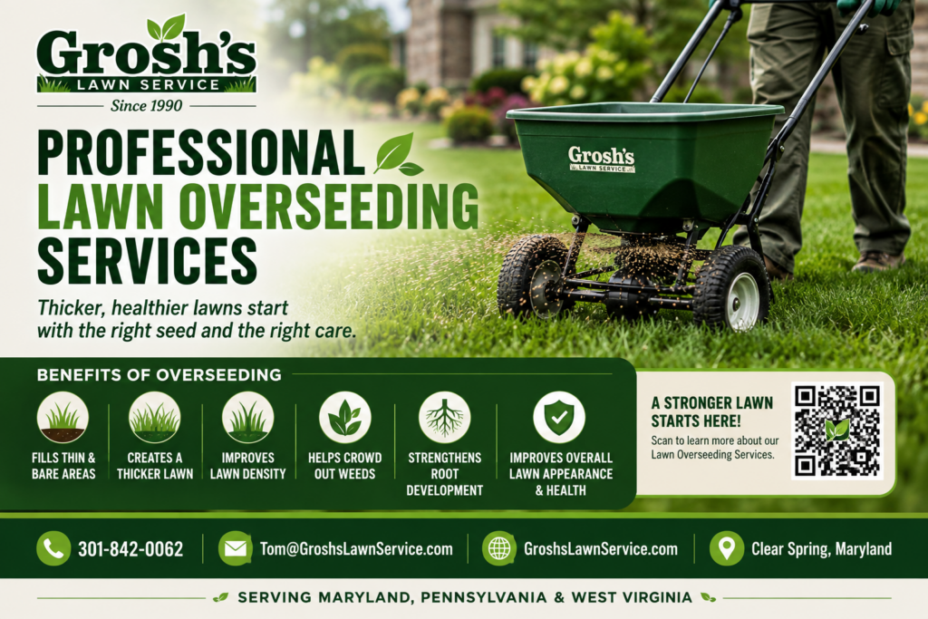 Professional Lawn Overseeding Services graphic from Grosh's Lawn Service showing a technician applying grass seed with an overseeder and highlighting the benefits of overseeding, including filling bare areas, creating a thicker lawn, improving lawn density, strengthening roots, and enhancing lawn health throughout Maryland, Pennsylvania, and West Virginia.