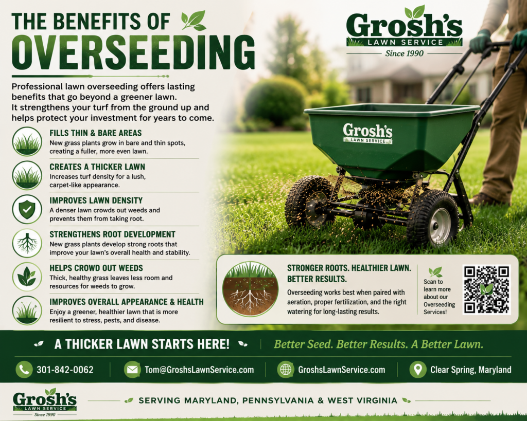 Why Is My Lawn Thin? Professional lawn overseeding helps improve lawn density by filling thin areas with healthy new grass and strengthening turf throughout Maryland, Pennsylvania, and West Virginia.